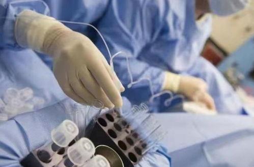 试管婴视频,从视频看生命孕育的奇迹