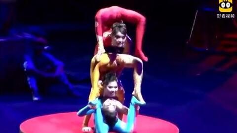 日本女人柔术视频,日本女性展现精湛柔术技艺