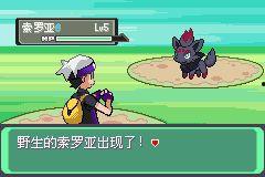 口袋妖怪漆黑的魅影视频,神秘力量与冒险之旅