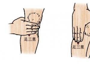 足三里位置图视频,足三里穴位定位与功效详解