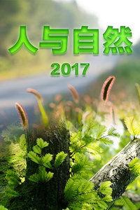 人与大自然视频,视频中的生态画卷