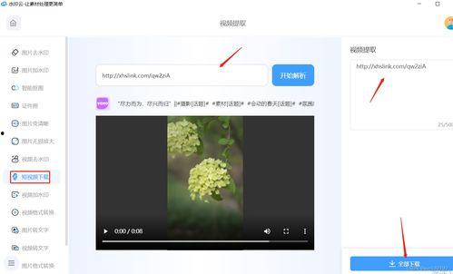 没有水印的视频网站,畅享高清观影新体验